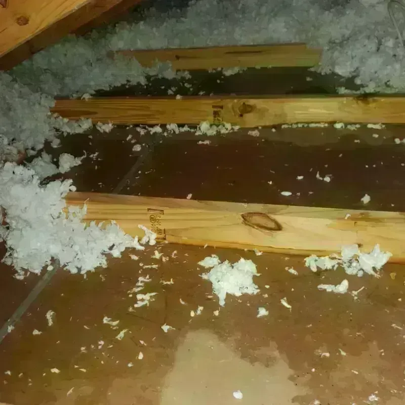 Attic Water Damage in Pinehurst, NC